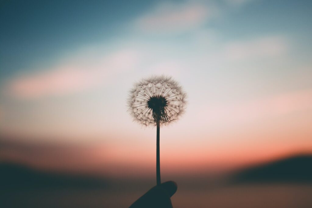 実り