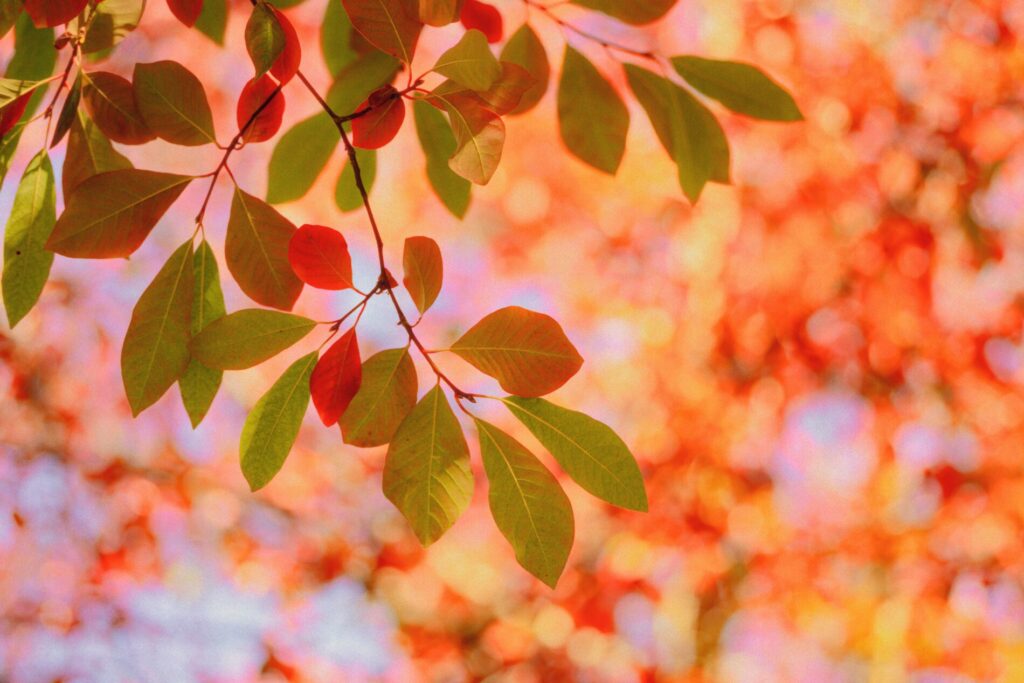 心を彩っているもの