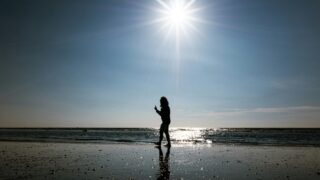 自分の道を行く