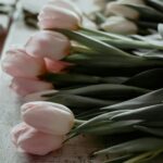 ありがとうを伝える