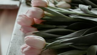 ありがとうを伝える