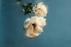 お互いにリスペクト