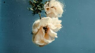 お互いにリスペクト