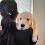 愛犬