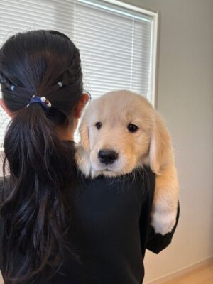愛犬